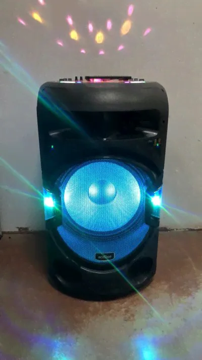 Портативная колонка Aceline V880 300Вт (Г1537С)