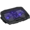     Aceline CP-2