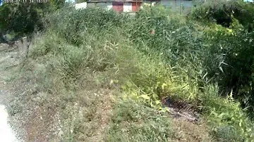 2.7К видео DEXP S-60, Aceline S-60 / 2.7К video DEXP S-60, Aceline S-60 HD