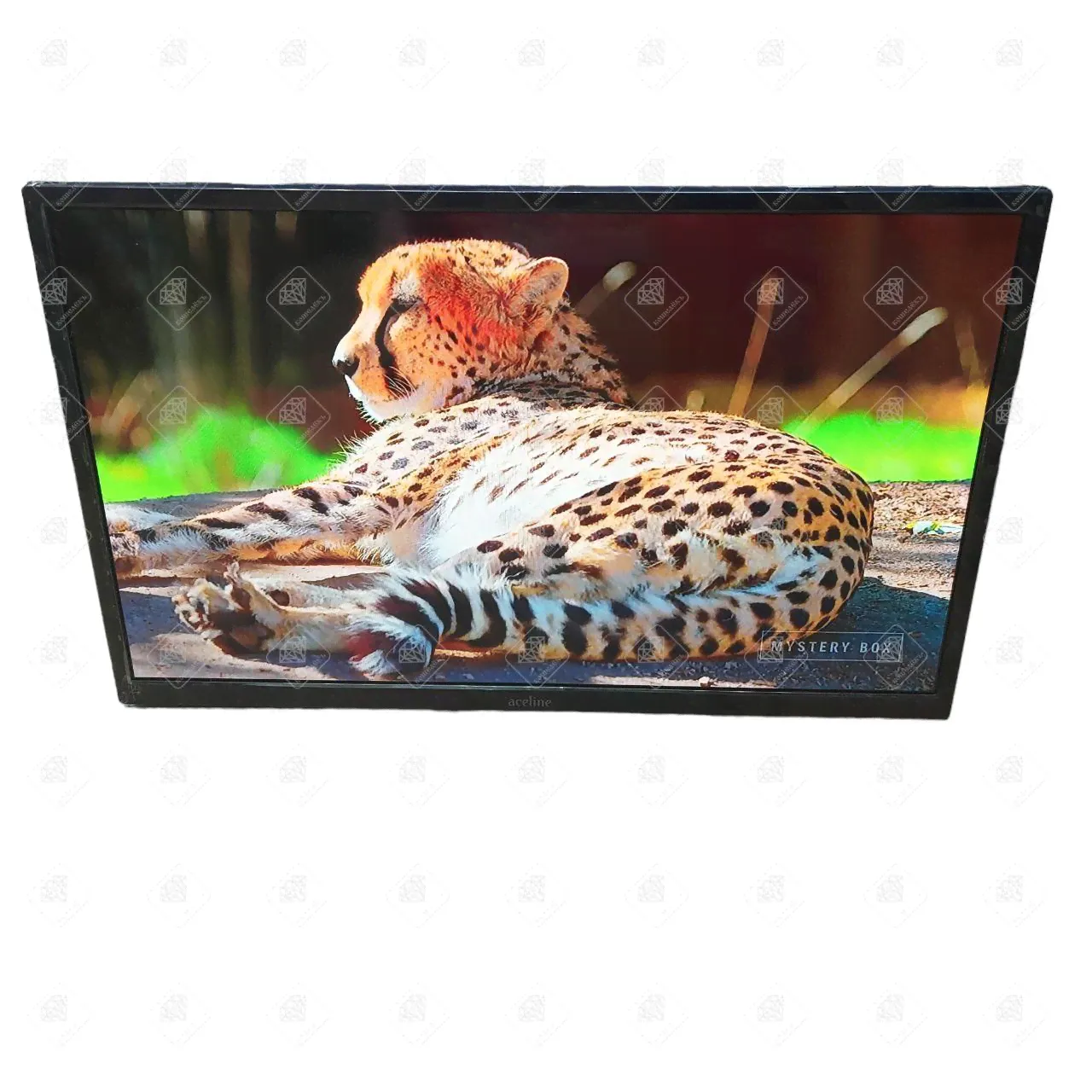 Купить Телевизор LED Aceline 24HEN1 в Самаре